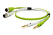 NEO d+ TRS-XLR(M) CLASS B